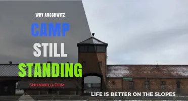 Preserving History: The Enduring Legacy of Auschwitz-Birkenau