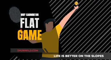 Badminton Flat Game: Secrets to Success