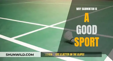 Badminton: An Excellent Sport for All