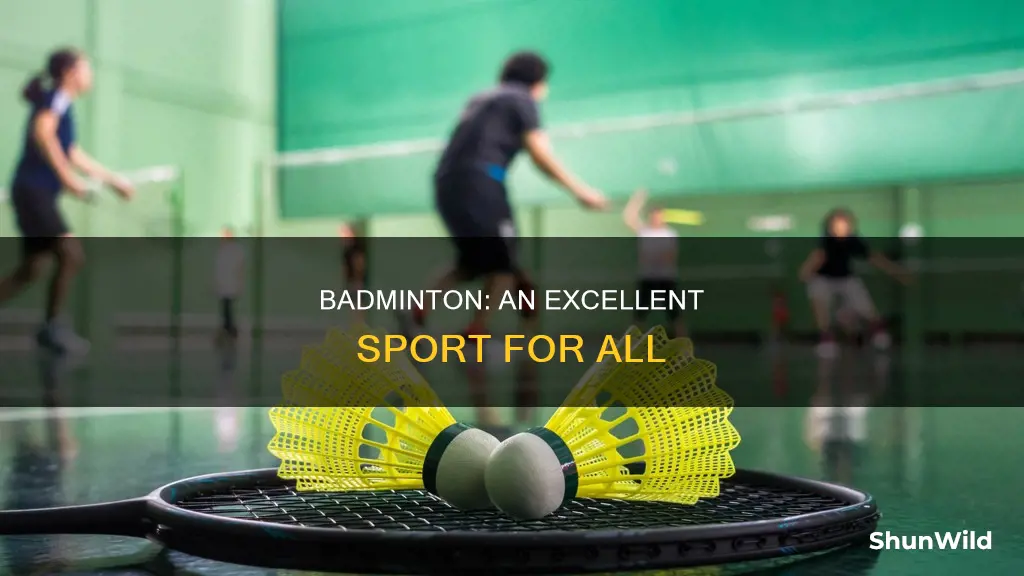 why badminton is a good sport