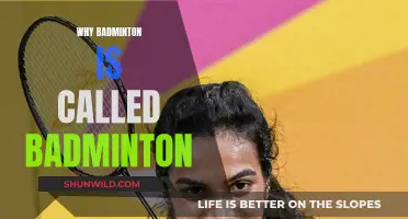 Badminton's Surprising Name Origins Explained