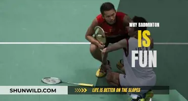 Badminton: Fun, Fast-Paced, and Addictive!