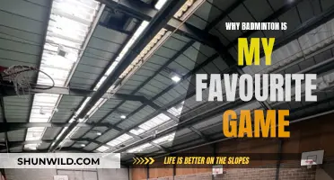 Badminton: My Favorite Game, Here's Why