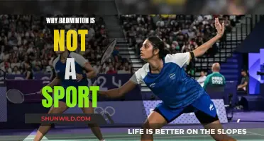 Badminton: Skill or Sport?