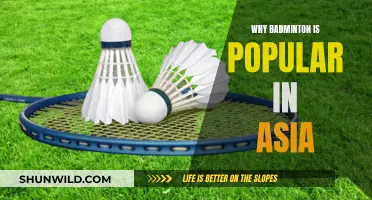 Badminton's Asian Reign: Cultural Significance and Popularity