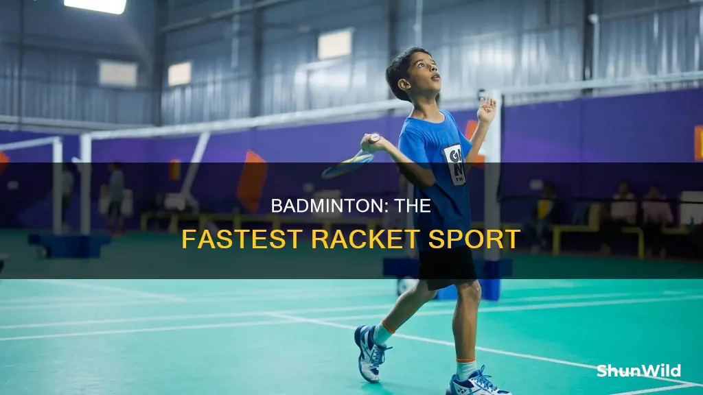 why badminton is the fastest racket sport