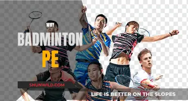 Badminton PE: Fitness, Fun, and Fundamentals