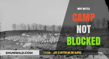 Understanding the Unrestricted Access to Battle Camp: A Comprehensive Analysis