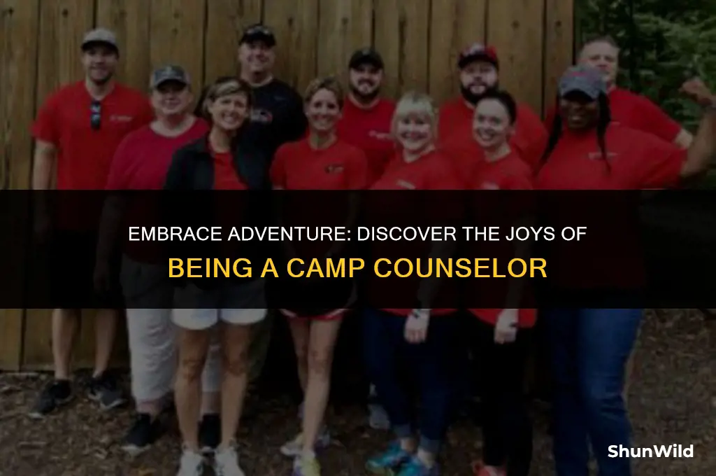 why be a camp counsellor