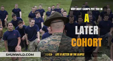 Why Boot Camps Delay Your Cohort Placement: Key Factors Explained