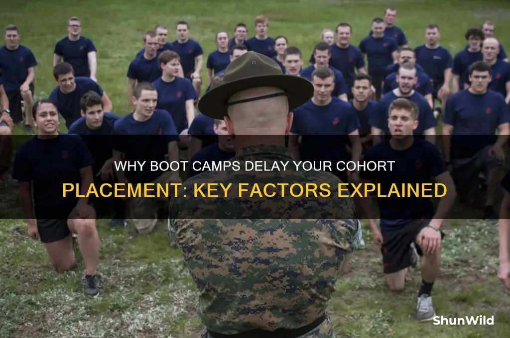 why boot camps put you in a later cohort