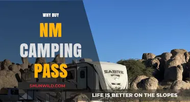 Unlock Endless Adventures: The Ultimate Guide to NM Camping Passes