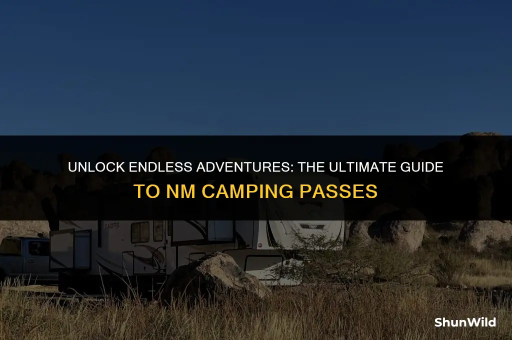 why buy nm camping pass