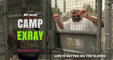 Unveiling the Origins: The Story Behind Camp X-Ray's Name