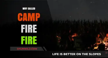 Why 'Campfire' Isn't Just a Name: The Story Behind the Term
