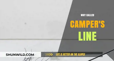 Unveiling the Origins: The Story Behind the Camper's Line