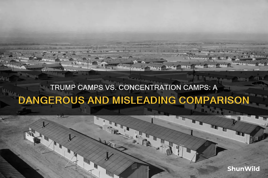 why calling trump camps concentration camps is bad