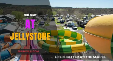 Unforgettable Adventures Await: Why Jellystone Campground is Your Next Destination