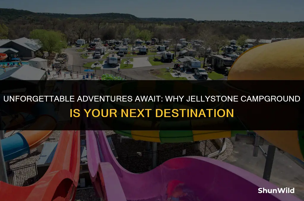 why camp at jellystone
