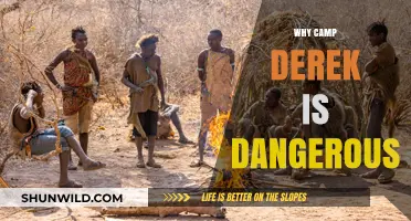 Unveiling the Hidden Dangers of Camp Derek: A Cautionary Tale