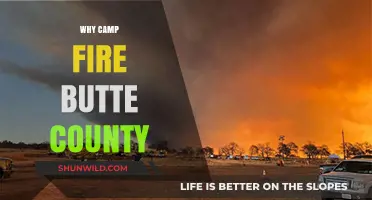 Unveiling the Mystery: Why Camp Fire Ravaged Butte County