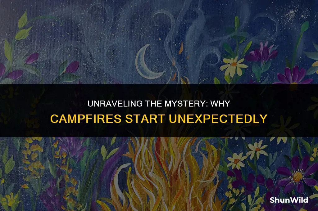 why camp fire started