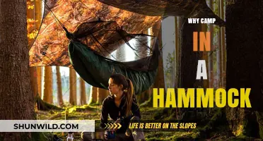 Elevate Your Camping: The Hammock Advantage