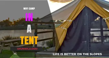 Embracing Nature: The Joys and Benefits of Tent Camping
