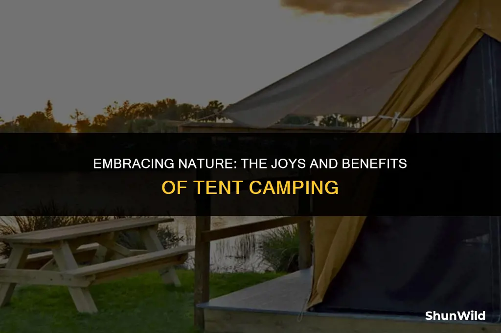 why camp in a tent