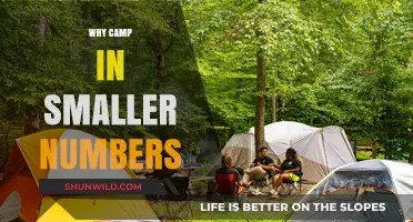Embracing Intimacy: The Joys of Camping in Smaller Groups