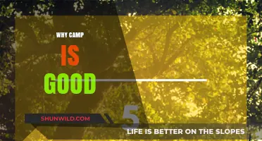Unforgettable Adventures: The Life-Changing Benefits of Summer Camp