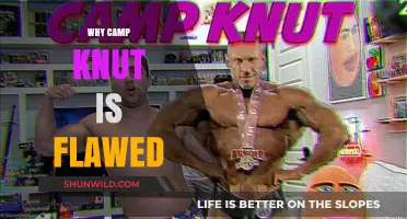 Unpacking the Flaws: A Critical Look at Camp Knut's Approach