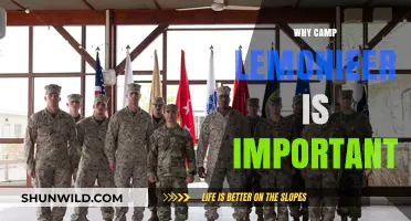 The Significance of Camp Lemonnier: A Strategic Military Hub