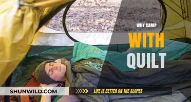 Embracing Nature's Comfort: The Art of Quilting Under the Stars
