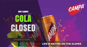 The Fizzling End: Uncovering the Reasons Behind Campa Cola's Closure