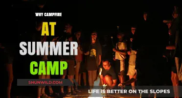 Embracing the Warmth: The Magic of Campfires at Summer Camp