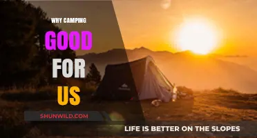 Embracing Nature: The Mental and Physical Benefits of Camping