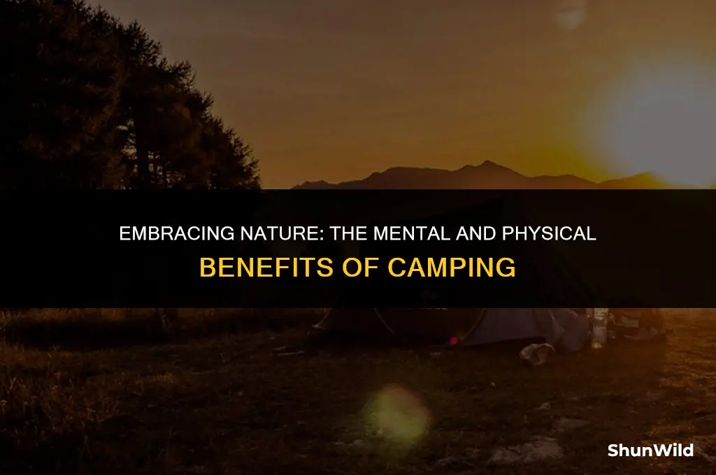 why camping good for us
