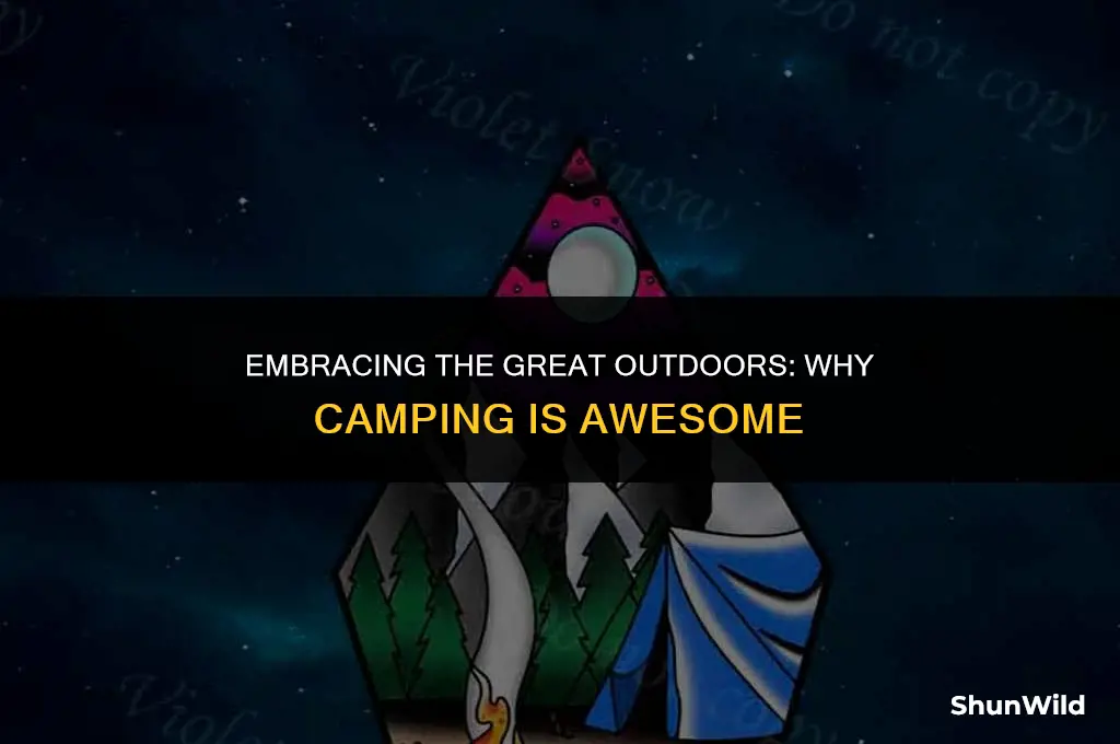 why camping is awesome