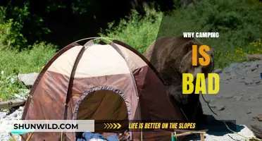 Unpacking the Myths: Why Camping Isn't Always the Great Outdoors