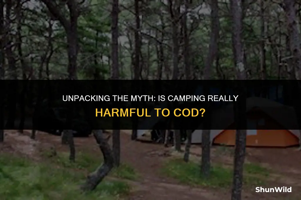 why camping is cancerous cod