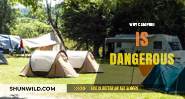 Unveiling the Hidden Perils: Why Camping Can Be Dangerous