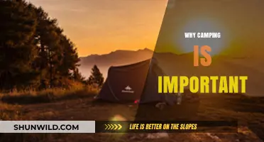 Embracing Nature: The Vital Importance of Camping in Our Lives