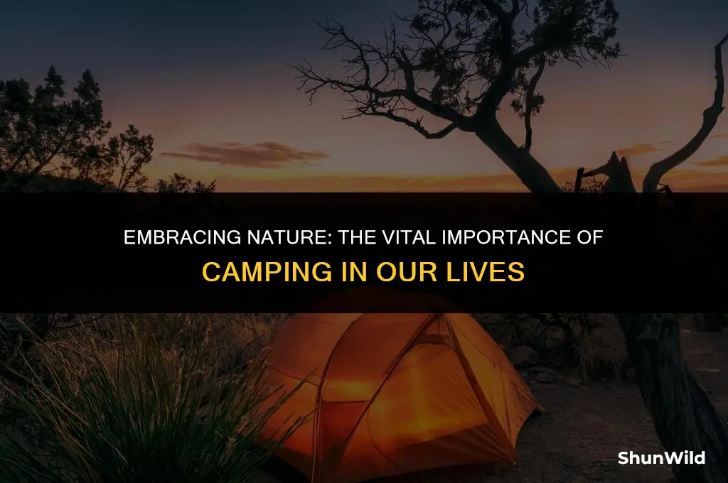 why camping is important