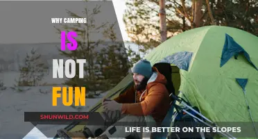 The Unspoken Truth: Why Camping Isn't Always an Adventure