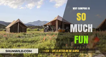 Camping Bliss: Discovering Nature's Joys and Unforgettable Adventures