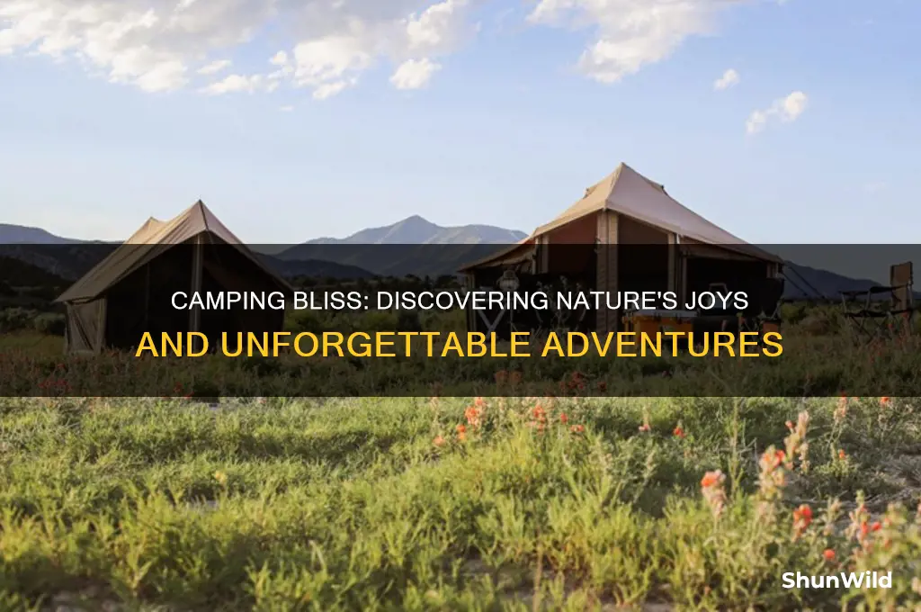why camping is so much fun