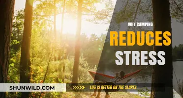 Embracing Serenity: How Camping Can Reduce Stress and Renew Your Mind