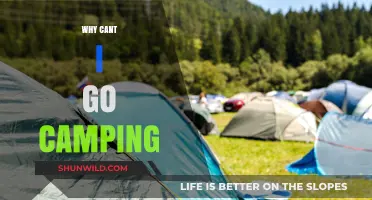 Nature's Calling: Unraveling the Mysteries of Your Camping Conundrum