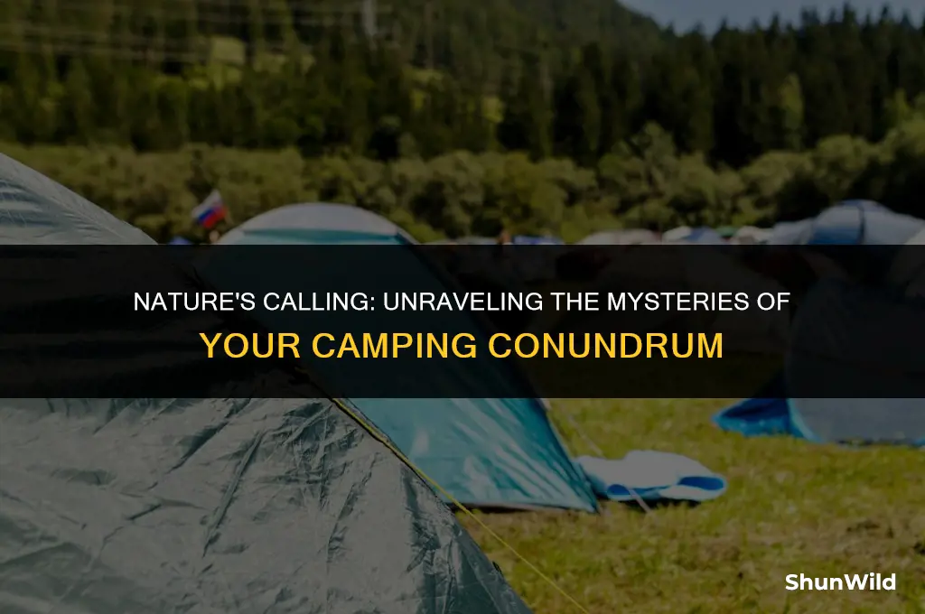 why cant i go camping